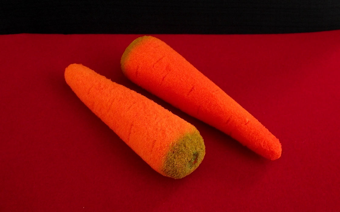 Sponge Carrots Alexander May